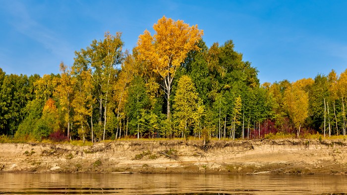 На пороге золотой осени. Начинающий фотограф, Осень, Река, Canon 70d, Пейзаж, Длиннопост
