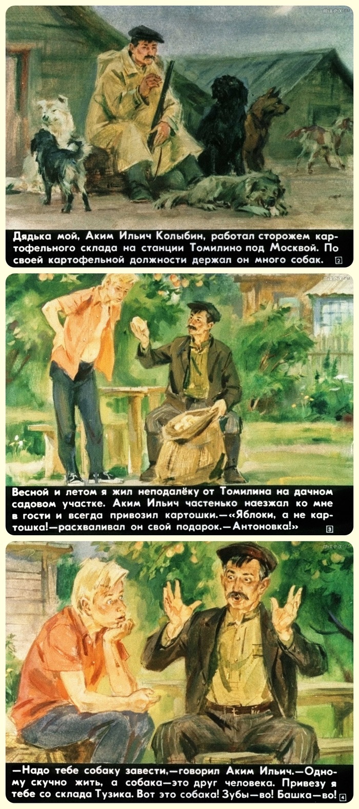  -   (1976) , , , ,   , , ,   