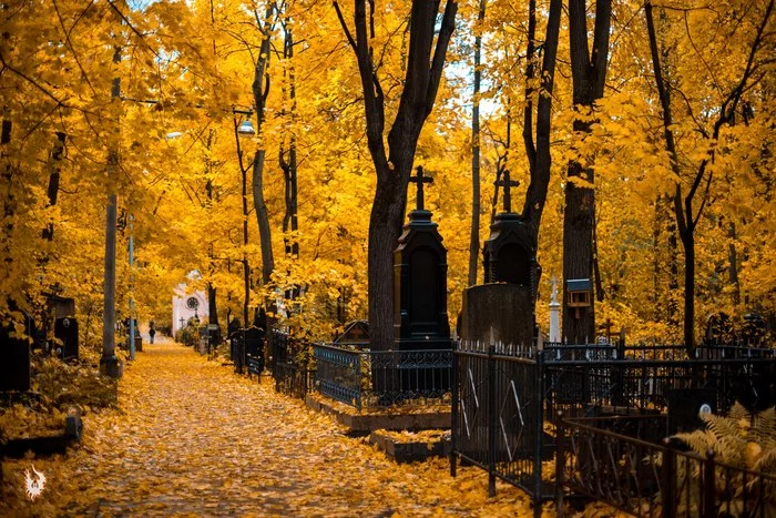 Lutheran autumn. - My, Cemetery, Lutheranism, Autumn, Moscow, Melancholy, Video, Longpost