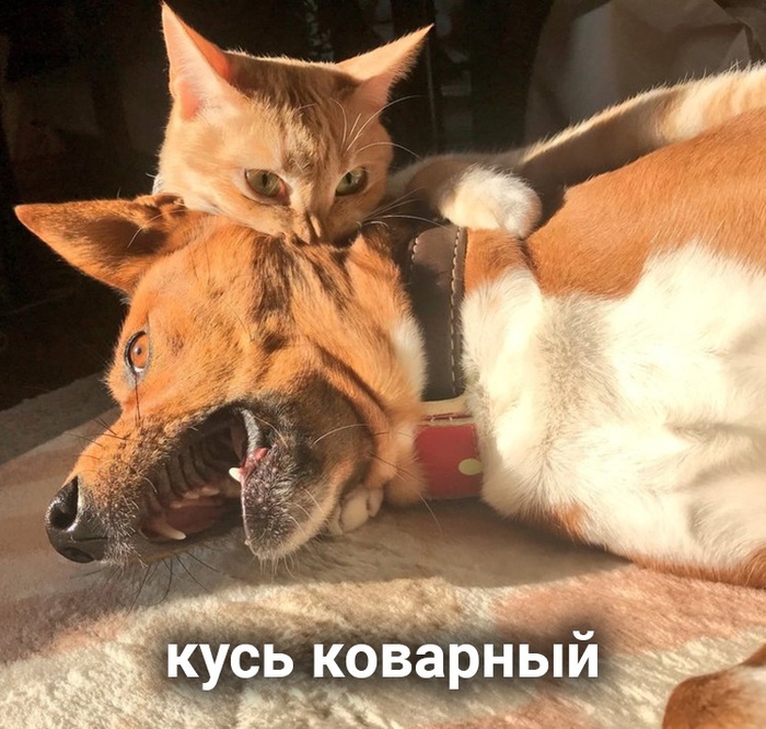 1568800283181938205.jpg