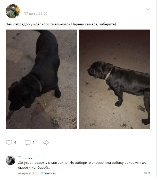 Беда не приходит одна...