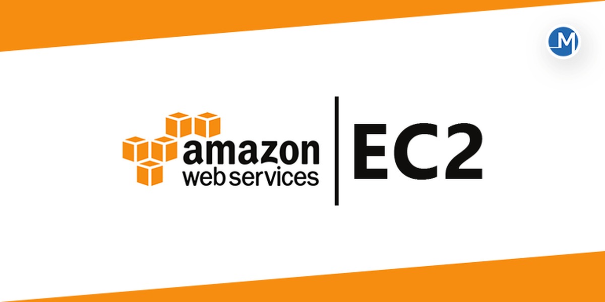 Foxbooks ec. Amazon ec2. Amazon ec2 logo. Elastic Compute cloud. Баннеры Амазон.