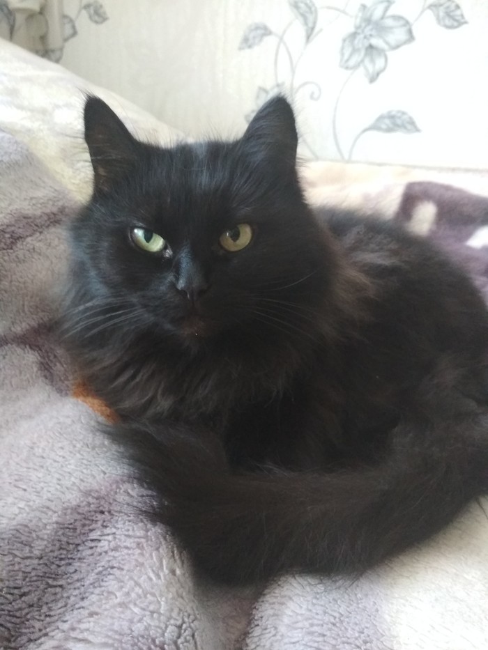 � ����� � �������� ��������