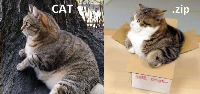 CAT.zip
