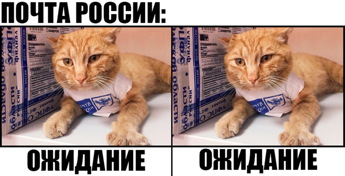 Почта России Мем