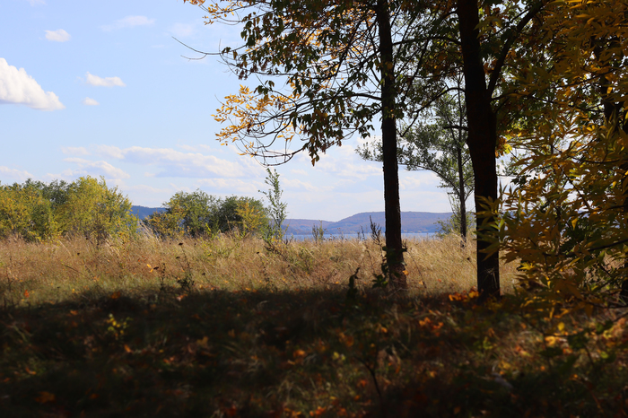 Autumn on the Volga - My, Autumn, The photo, Volga, Tolyatti, Beginning photographer, Longpost, Volga river