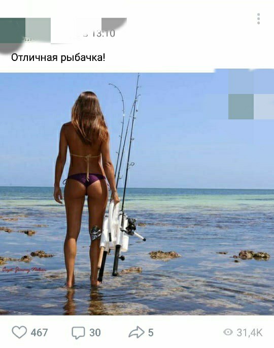 About posts in public about hunting and fishing in VK. - NSFW, In contact with, Hunting and fishing, VK group, Boiled, Longpost, Public