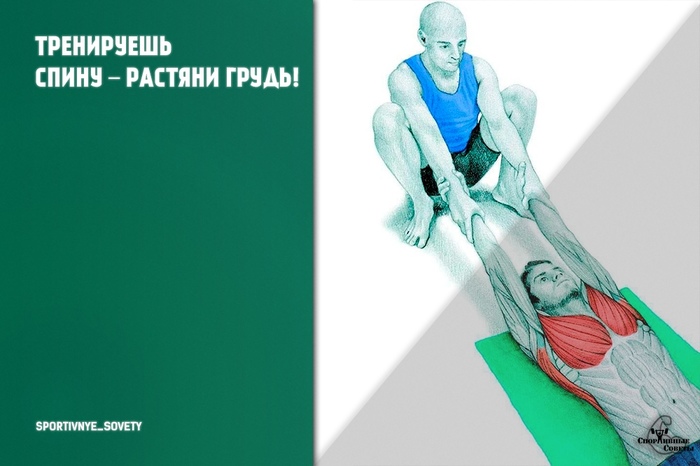 Train your back - stretch your chest - My, Sport, Тренер, Sports Tips, Research, Stretching, Muscle, Gym, Bench press, Longpost