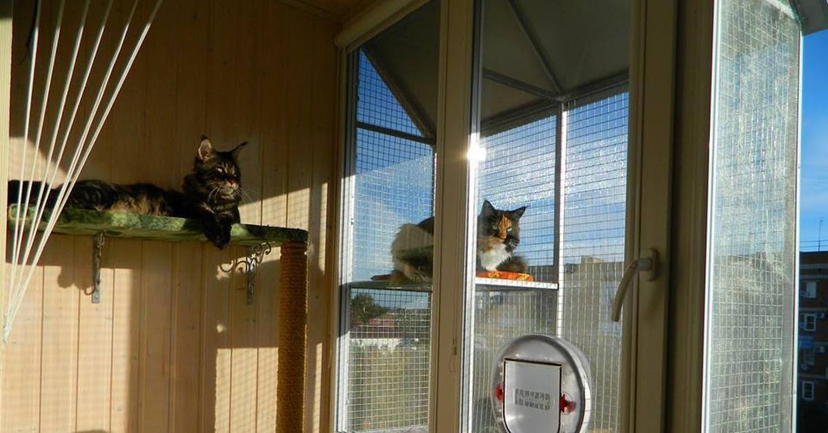 Балкон для кошек купить. Клетка антикошка. Вольер антикошка для балкона. Вольер на окна антикошка. Балкон для кошек.