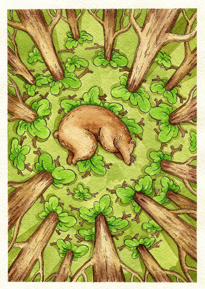 Second post - My, Watercolor, Illustrations, The Bears