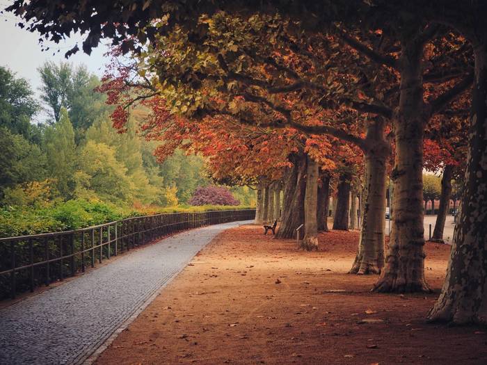 Autumn embankment of Frankfurt - My, The photo, Germany, Frankfurt am Main, Town, Landscape, Olympus