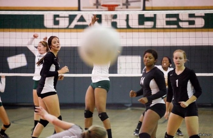 ��������, ������ �������...