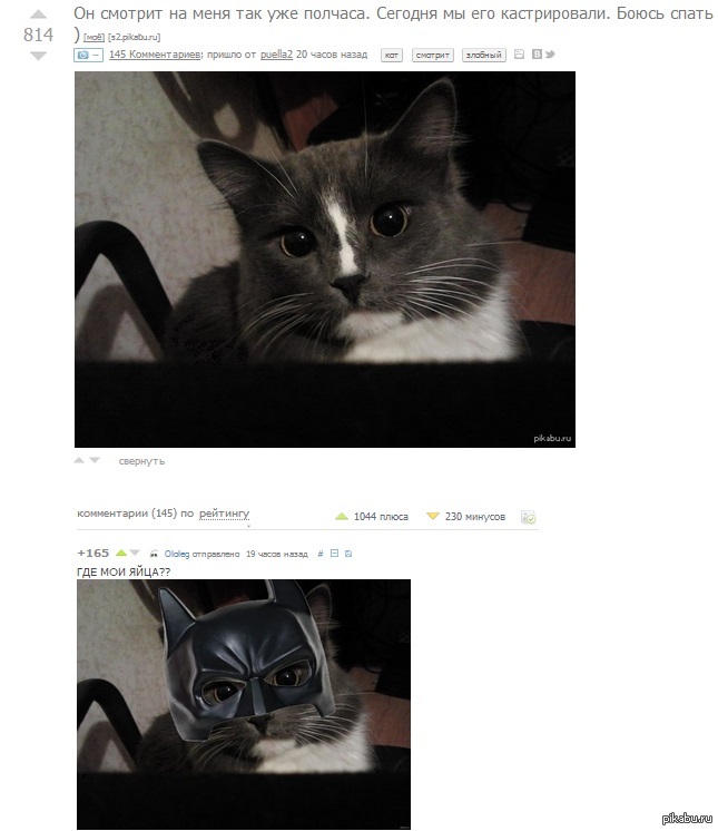 � ����� �������� ������������