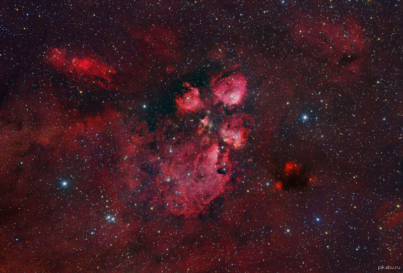 Космический 7 букв. Туманность Кошачья лапа. Туманность NGC 6334 Кошачья лапа (the Cat's Paw Nebula). Туманностт кошачьи лапы. Туманность медвежья лапа.