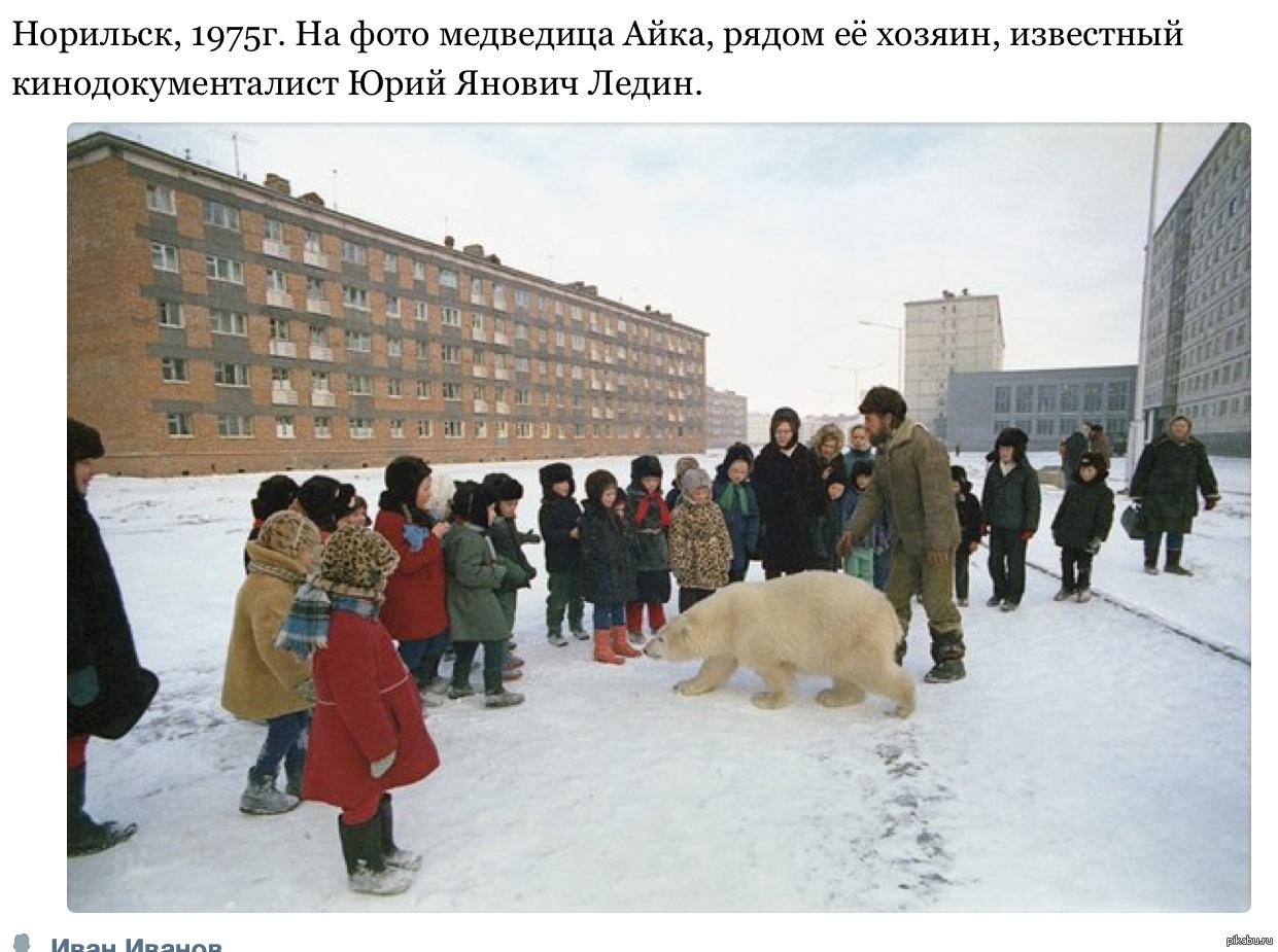 Айка в норильске фото