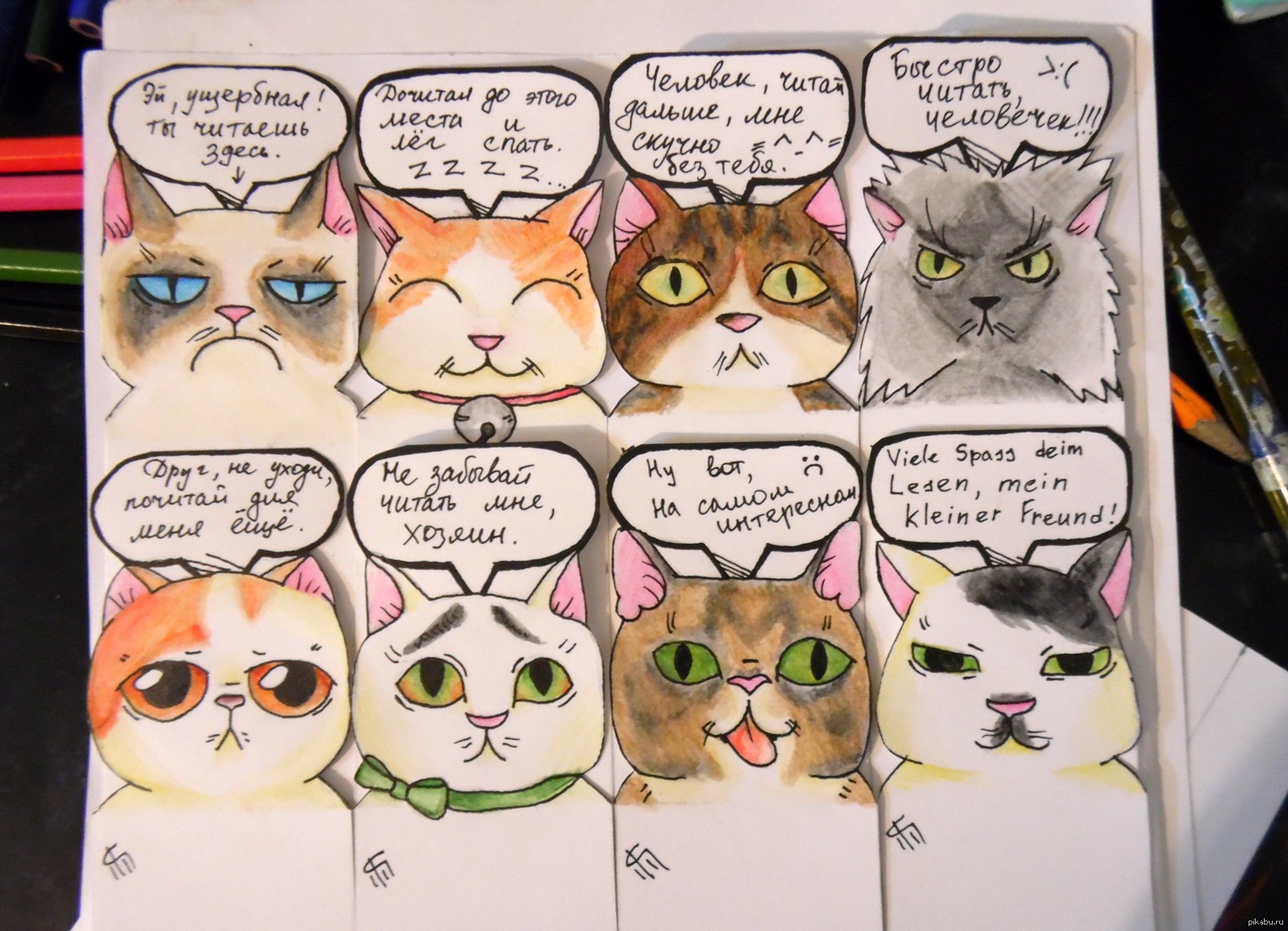 Личный дневник коты