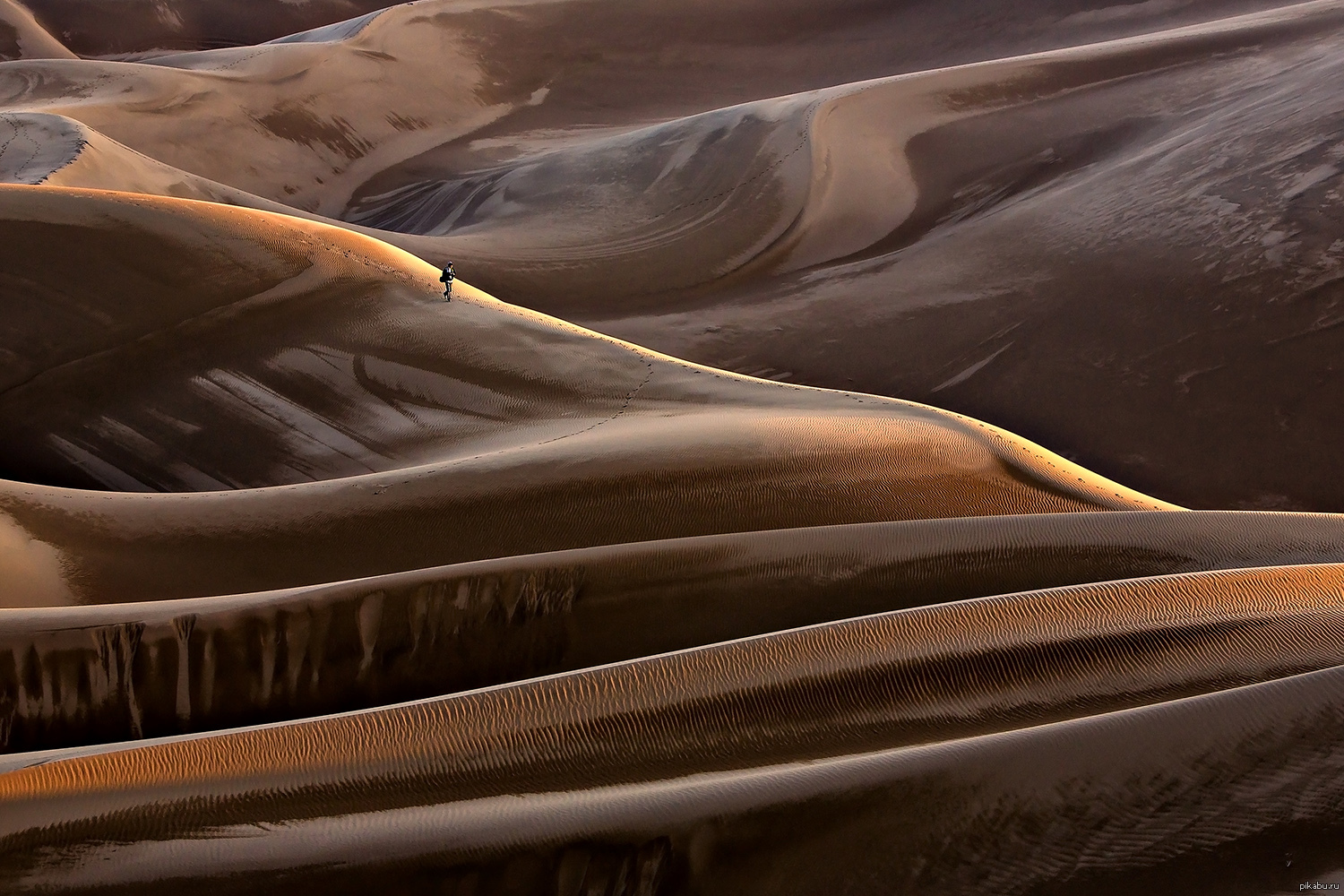 Desert rain. Дождь в пустыне сахара. Пустыня сахара после дождя. Дождь в пустыне картинки. Пустыня после дождя фото.