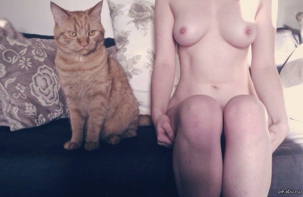 Kitten Nude