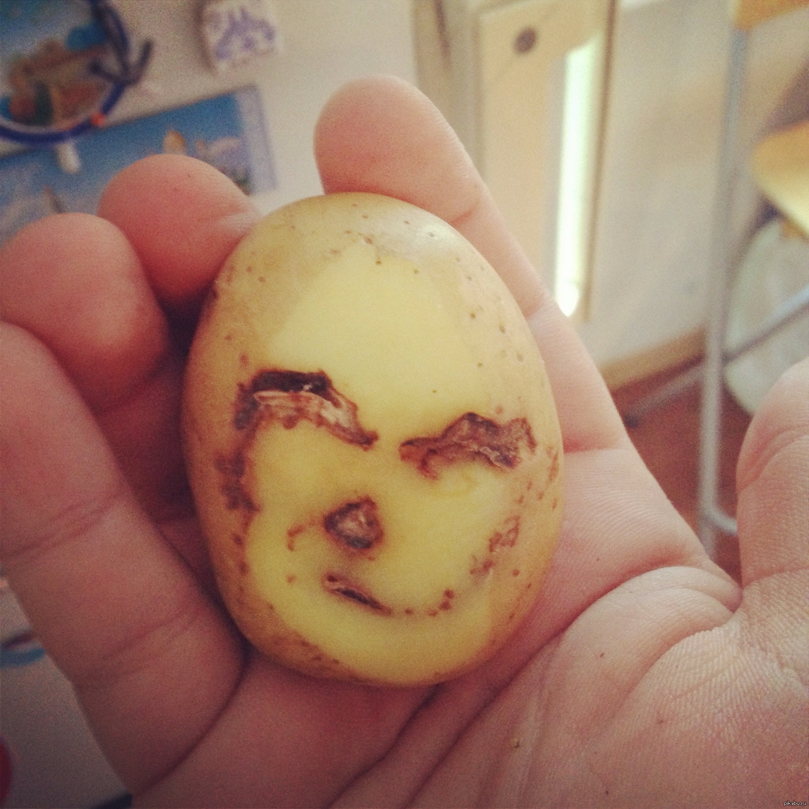 Милота :) | Пикабу