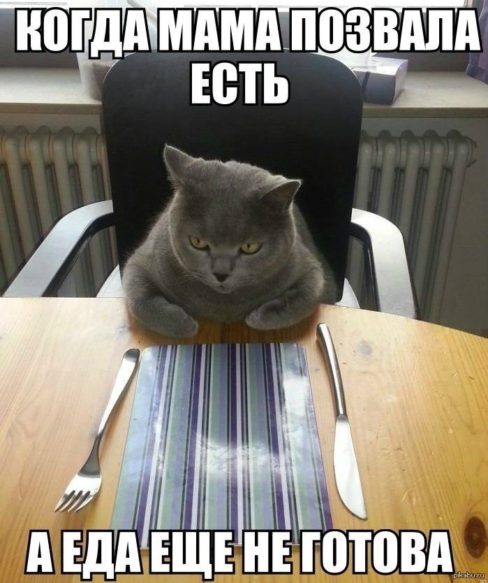 Комикс про кота. Зажравшийся кот. Кот который не хотел есть. Стол для кошек для еды. Хочу жрать.