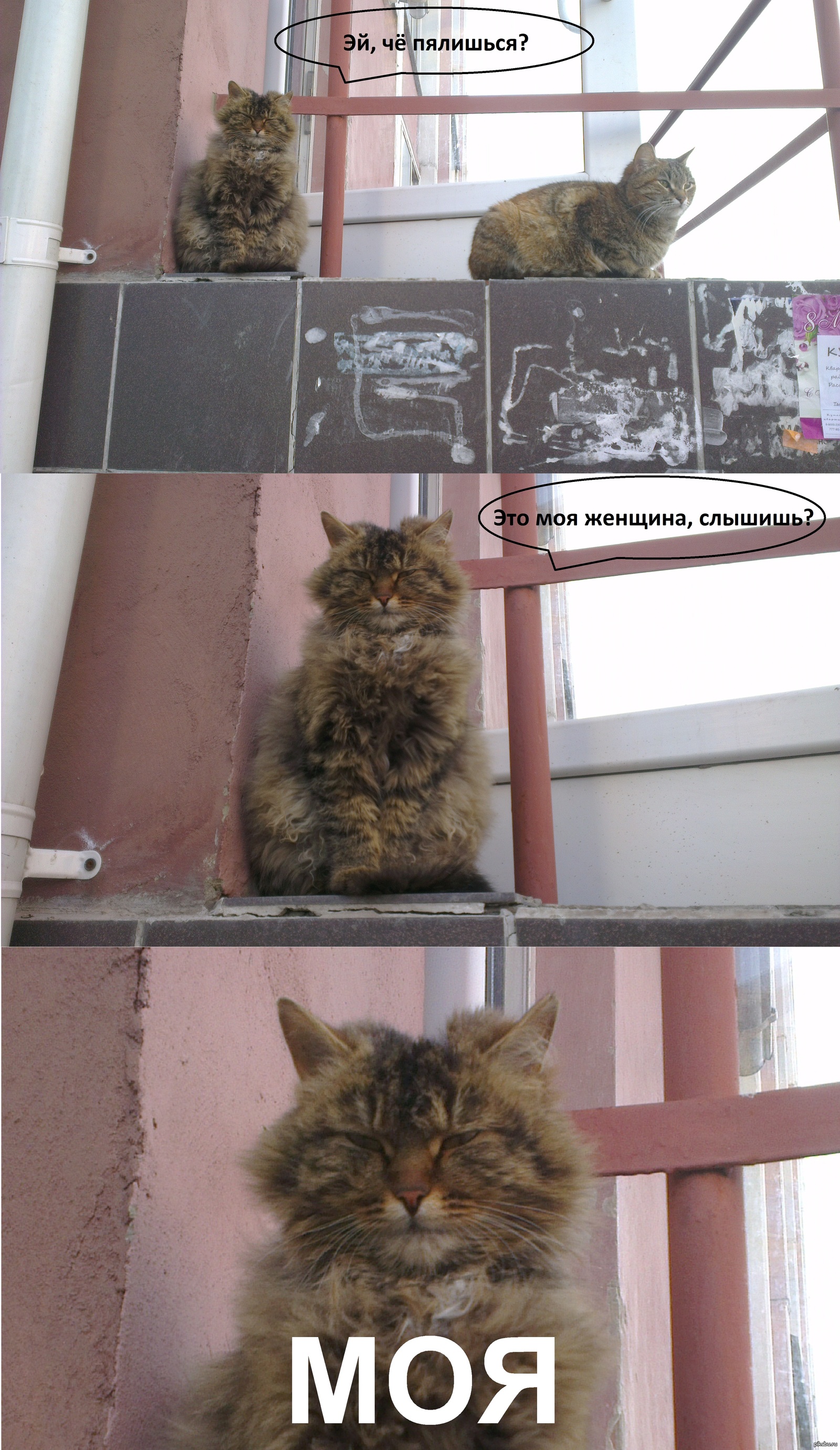 эй прохожий проходи эх пока не получил масяня. эй прохожий проходи пока не получил. эй прохожий проходи эх пока не получил чичерина. эй прохожий проходи пока не получил. лицо не в фокусе.