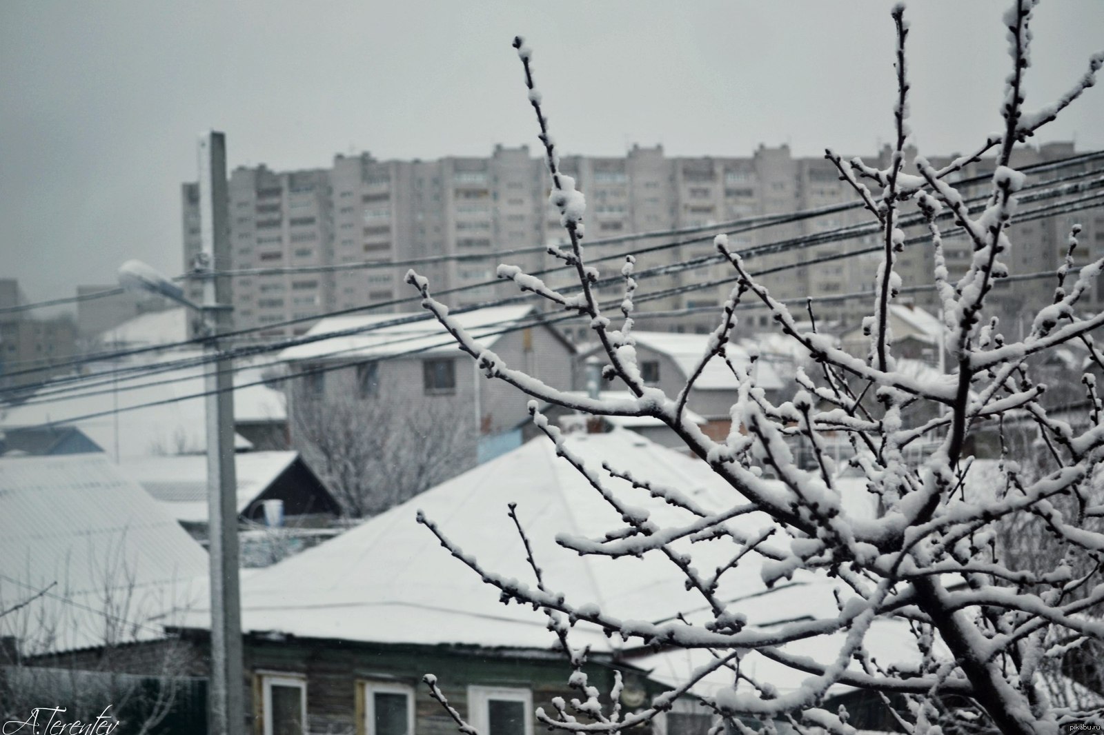 Yearly cosplay of spring for February - Spring, Volgograd