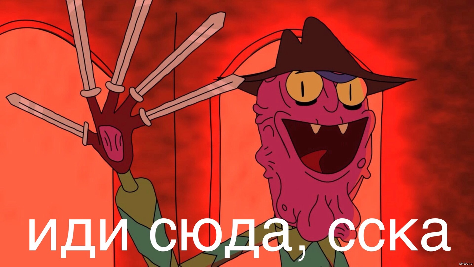 Терри | Пикабу