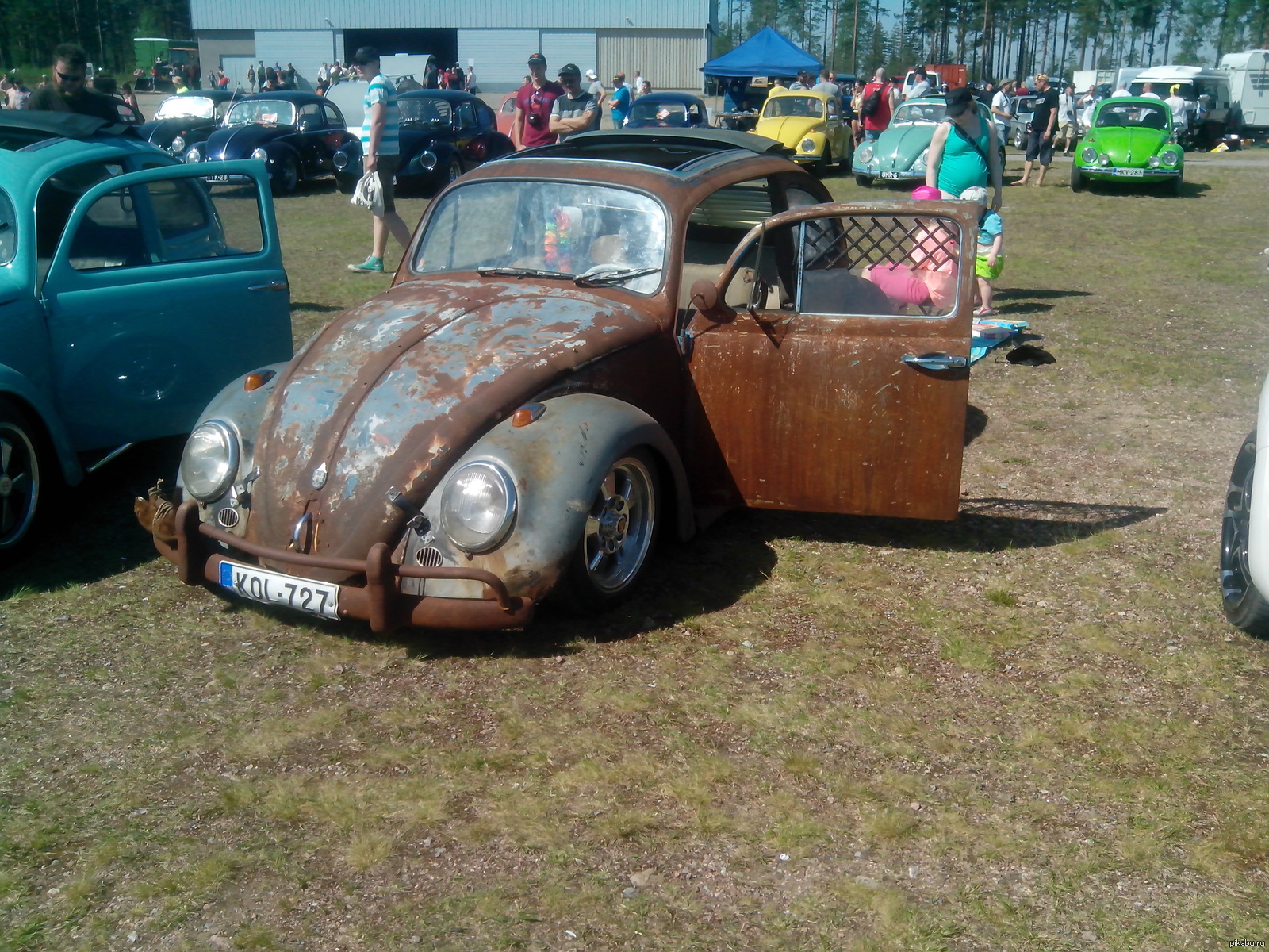 rat style beetle | Пикабу