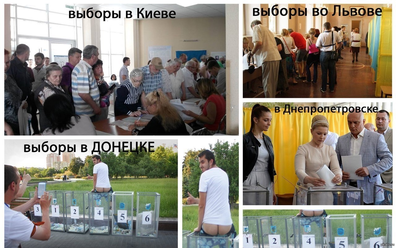 Как проходили выборы | Пикабу