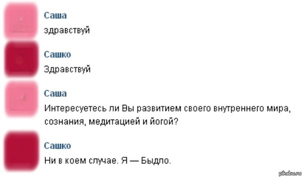 Ни в коем случае значение. Картинки Здравствуй Саша. Ни в коем случае. Я ни в коем случае. Ни в коем случае Мем.