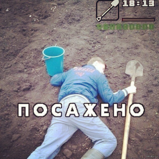 Картинки сажаем картошку смешные