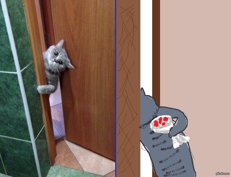 Входить нужно в дверь. Кот открывает дверь. Дверь для кота. Кот стучится в дверь. Смешные двери.