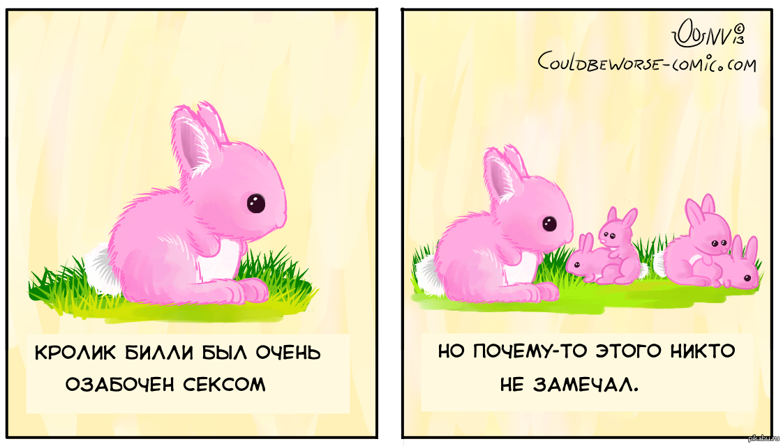 Шутки про кроликов. Озабоченный кролик. Мемы с кроликами. Кролик прикол. Как будет твой кролик