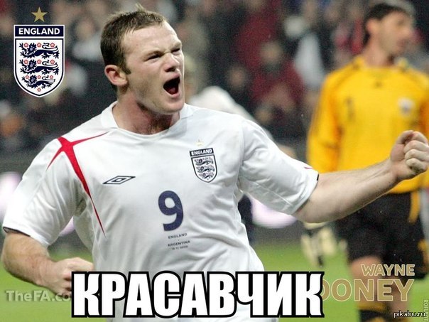 Руни! | Пикабу