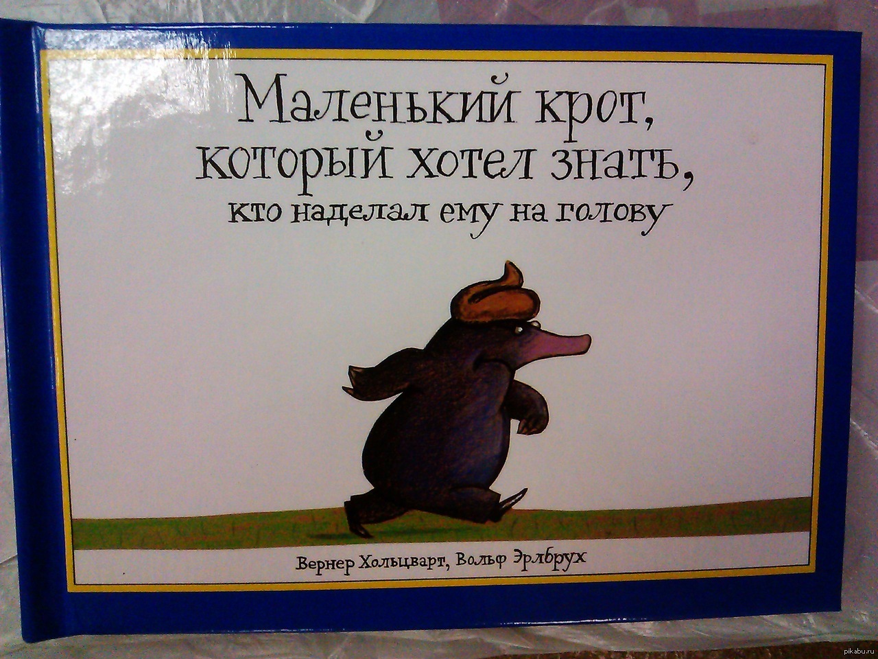 Крот прикол. Крот выражение. Крот. Крот выражение. Крот размеры.