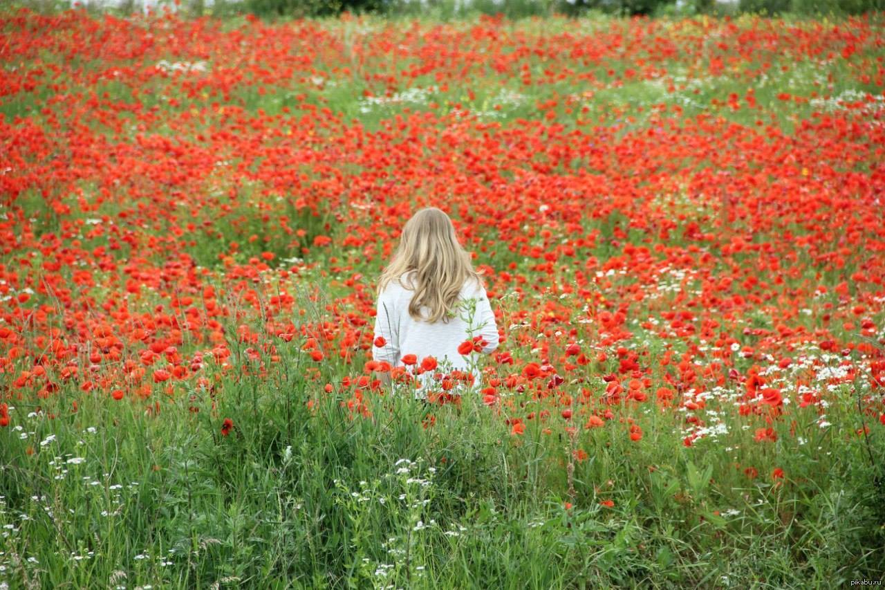 Девушка в поле с цветами фото