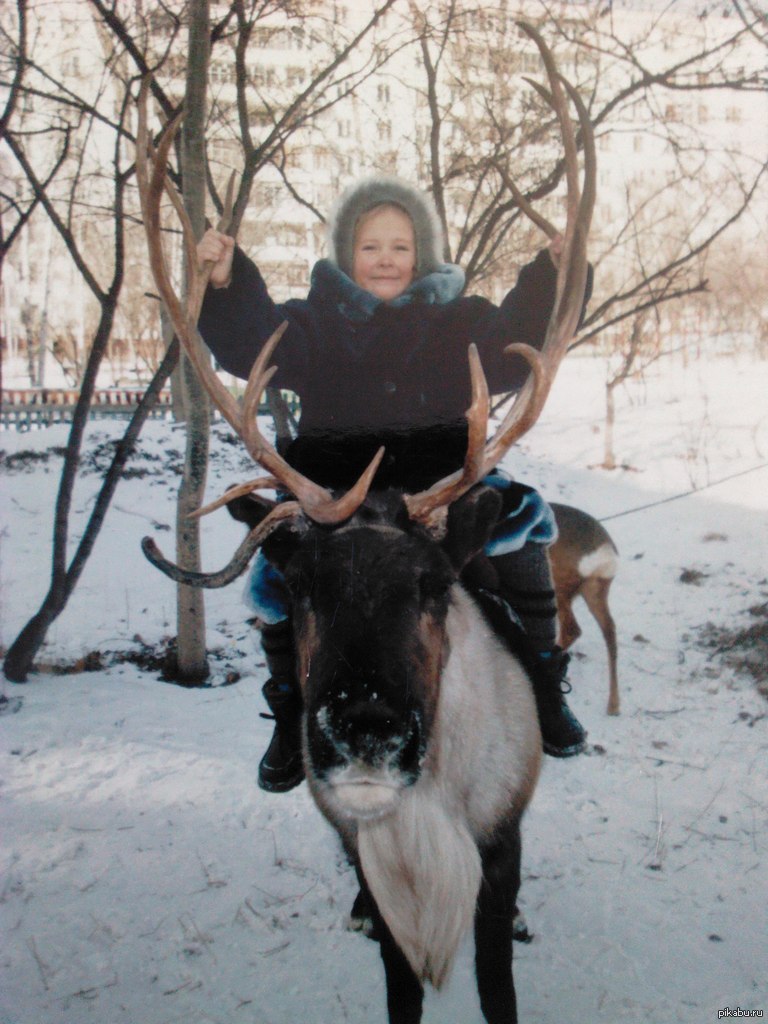 Фото верхом на олене