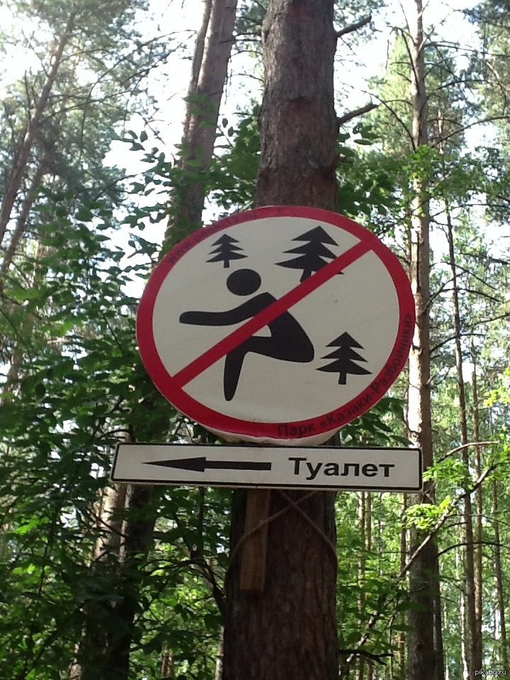 Хорошо в лесу какой знак
