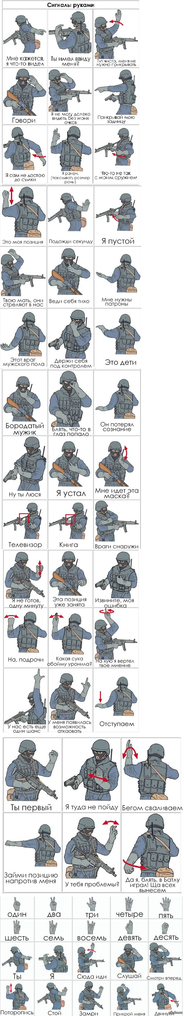 Язык жестов спецназа в картинках руками