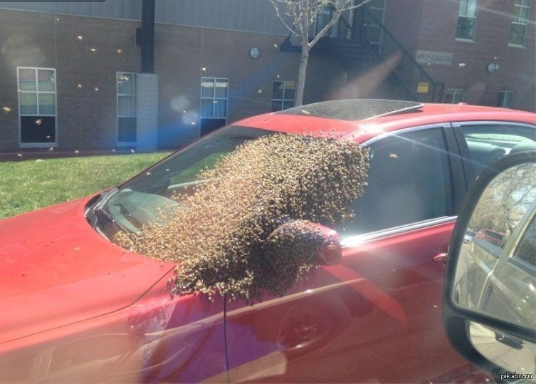 Невероятное везение фото. Люди которым повезло меньше. Везет приколы. Самые удачные люди. Если у человека нет чувства юмора.