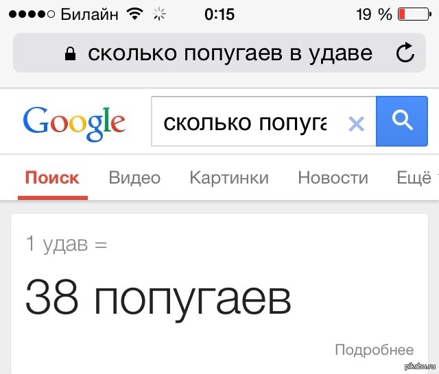 Google сколько будет 1 1. Сколько попугаев в удаве. Гугл это сколько. Сколько попугаев было в удаве. Сколько в 1 удаве.