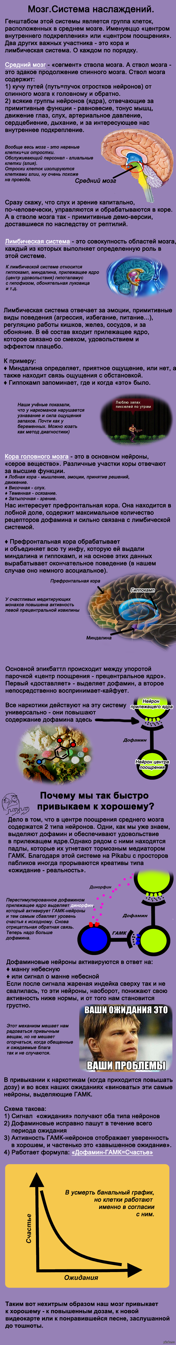 Круги наслаждений и почему мы привыкаем к хорошему | Пикабу