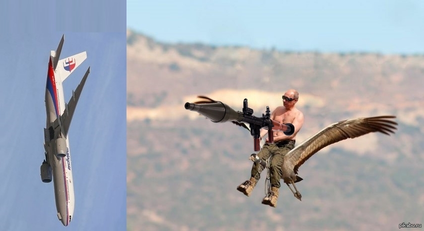 Путин И Стерхи Фото