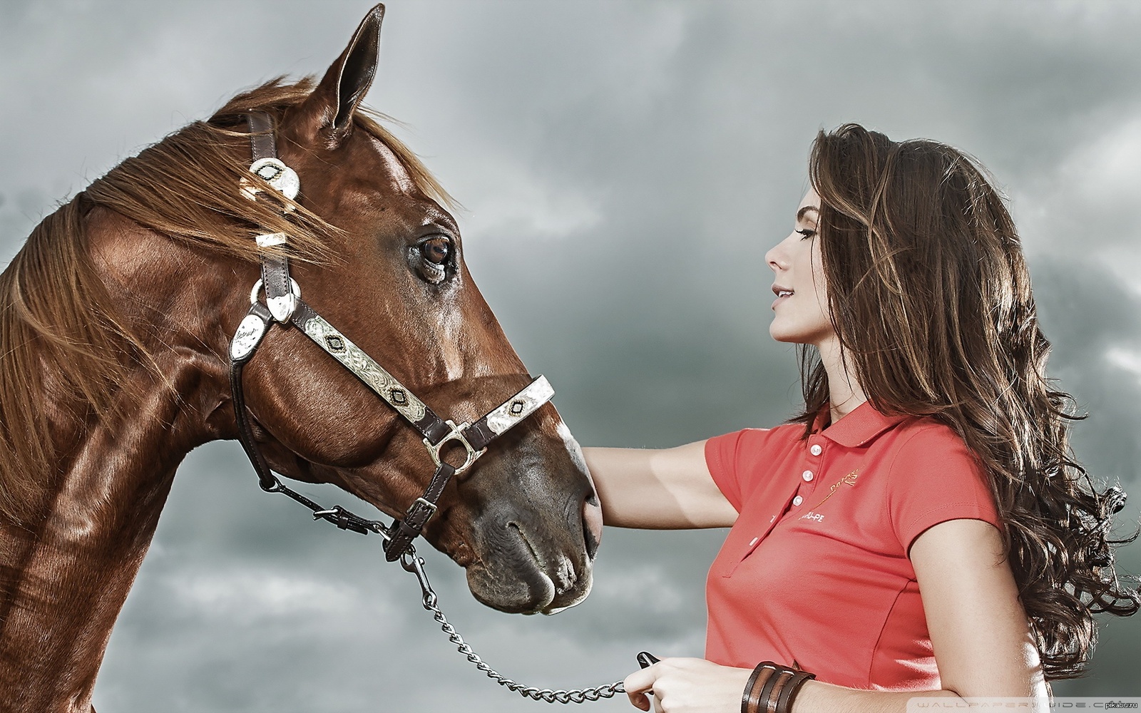 Верховая женщина. Девушка с лошадью. Красивая девушка на лошади. Красивая женщина на лошади. Красивая женщина на коне.