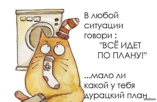 Прекрасный план. 