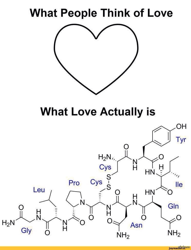 What is love thought. Формула любви химия формула. Химическая формула любви химия. Окситоцин гормон любви формула. Химическая реакция любви формула.