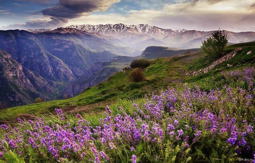 Природа | Пикабу