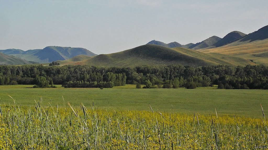 Оренбургская область поселок ленина