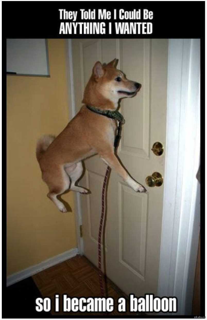 сержант тэклберри полицейская академия. супермен над городом. бармен. Jason todd outlaw. When i grow up i want to be.