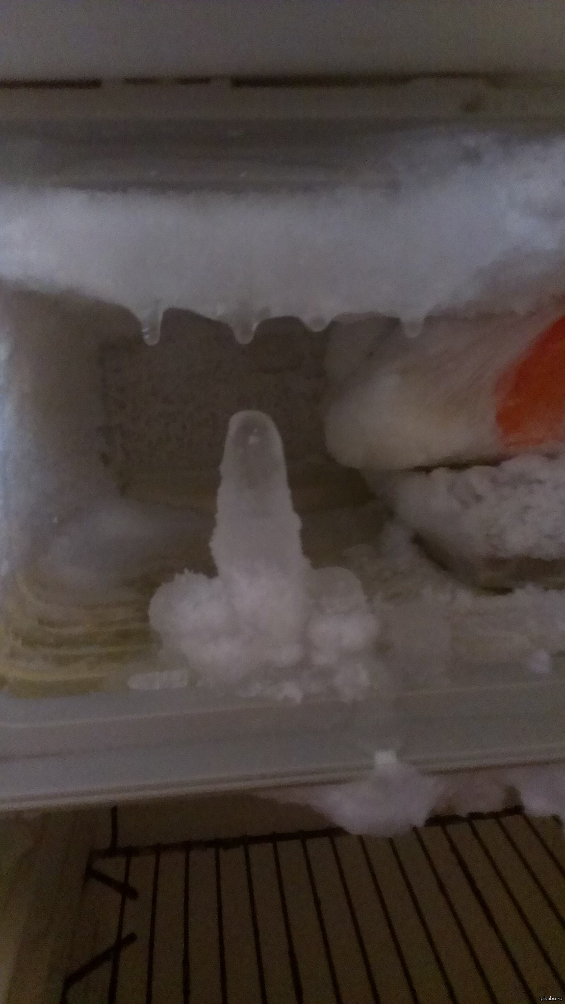 можно ли заморозить сперму в холодильнике фото 82